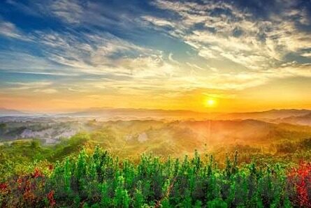 开云体育官网网站查询-详尽梳理,查看开云体育官网网站信息是明智之举