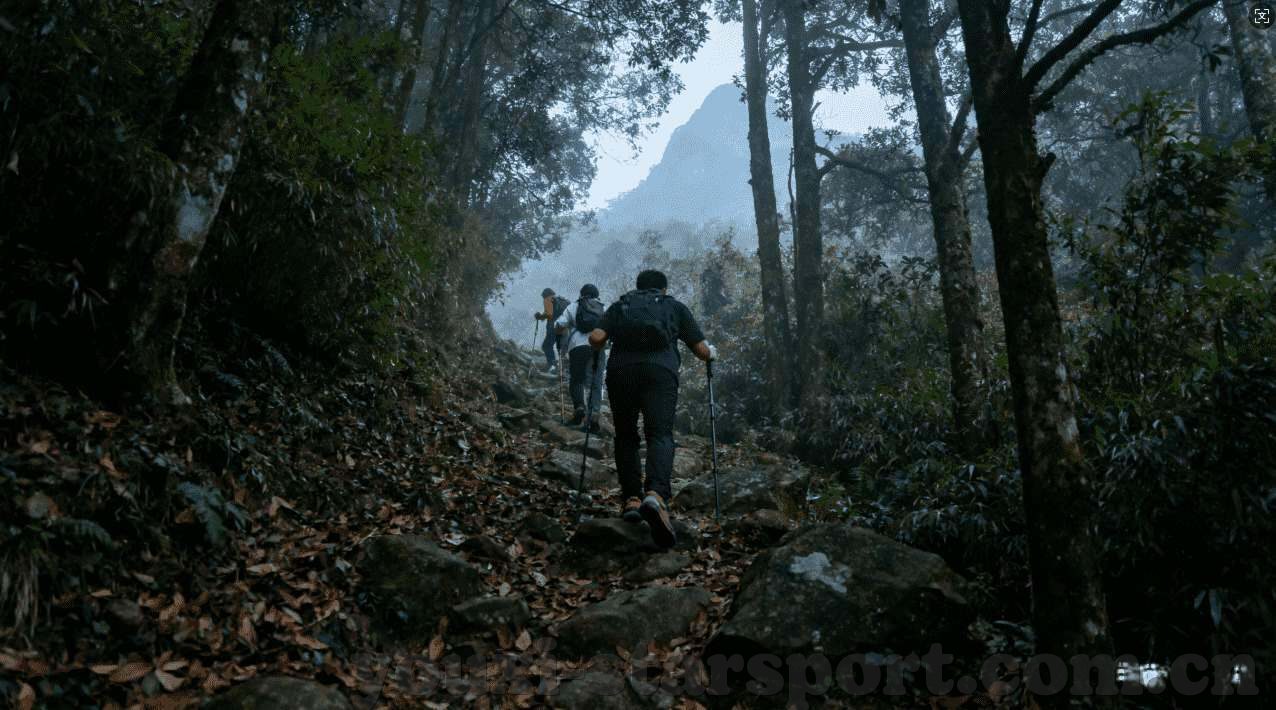 问鼎娱乐平台客服-重塑服务新境界——问鼎娱乐平台客服的数字化转型之旅
